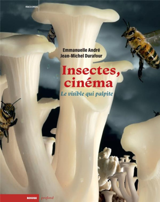 Insectes, cinéma. Le visible qui palpite