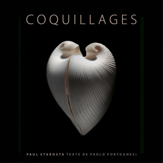 Coquillages