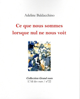 Baldacchino_Adeline_Remaud_Michel-Ce_que_nous_sommes_lorsque_nul_ne_nous_voit-9782491457259_0