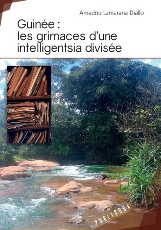 Diallo_Amadou_lamarana-Guin_e_les_grimaces_d_une_intelligentsia_divis_e-9782342167740_0
