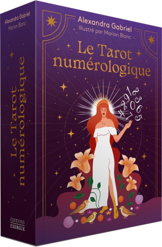 Gabriel_Alexandra_Blanc_Marion-Le_Tarot_num_rologique-9782361888480_0