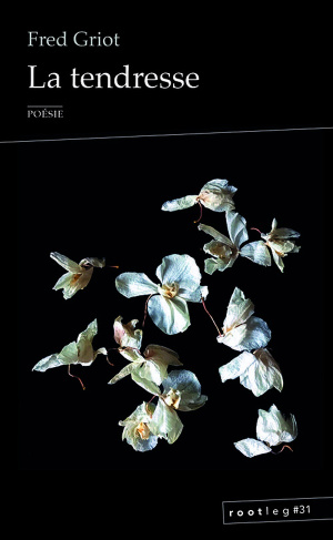 Griot_Fred-La_tendresse-9782875055286_0
