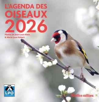 HUBERT_KLEIN-Agenda_des_oiseaux._Edition_2026-9782815323338_0