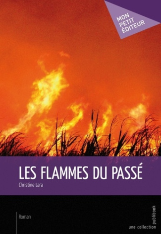 Lara_Christine-Les_Flammes_du_pass_-9782748370263_0