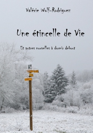 Wolf-Rodriguez_Val_rie-Etincelle_de_vie._Et_autres_histoires_a_dormir_d-9782322573318_0