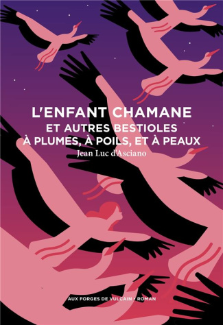a-d-asciano-jean-luc-l-enfant-chamane-et-autres-bestioles-a-plumes-a-poils-et-a-peau_0
