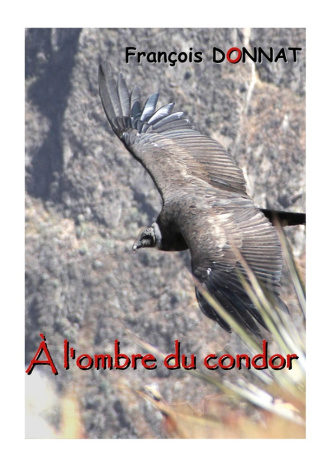 a-l-ombre-du-condor_0