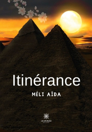 aida-meli-itinerance_0