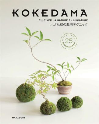 akiyama-hiroyuki-3b-hosomura-takeyoshi-3b-morikawa-m-ateliers-kokedama-mini-bonsais-autres-sculpture-de-mousse-comment-cultiver-la-verdure-en-miniat_0