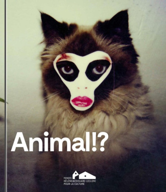 alandete-christian-animal_0