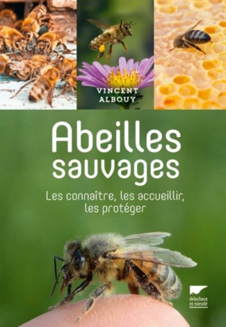 albouy-vincent-abeilles-sauvages-les-connaitre-les-accueillir-les-proteger_0