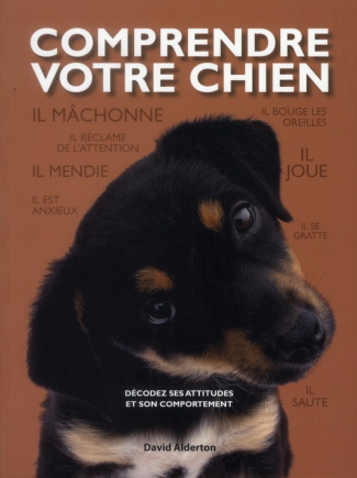 alderton-david-comprendre-votre-chien-decodez-les-attitudes-et-le-comportement-de-votre-chien_0