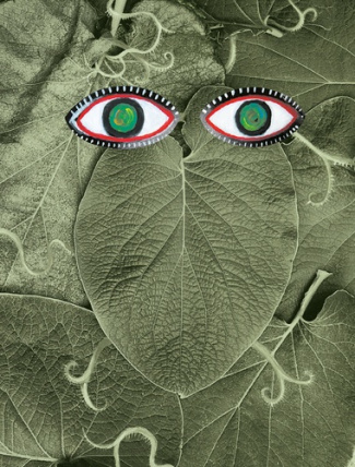 art-maciejka-3b-fernandez-emilie-3b-martinez-mariana-hoja-santa-edition-bilingue-francais-espagnol_0