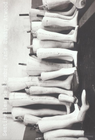 atwood-jane-evelyn-3b-palomera-marie-france-de-sentinelles-de-l-ombre_0