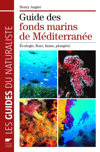 augier-henry-guide-des-fonds-marins-de-mediterranee-ecologie-flore-faune-plongees_0