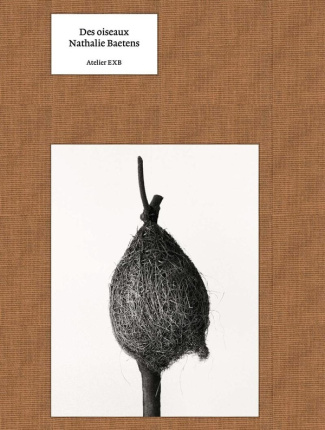 baetens-nathalie-des-oiseaux_0