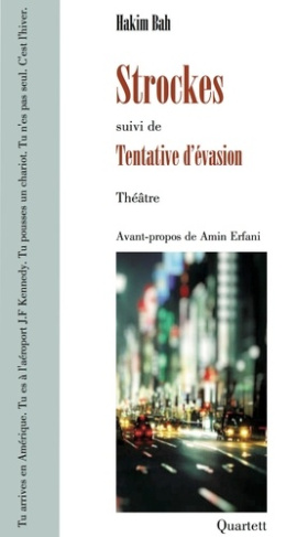 bah-hakim-erfani-amin-strockes-suivi-de-tentative-d-evasion-suivi-de-tentative-d-evasion_0