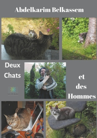 belkassem-abdelkarim-deux-chats-et-des-hommes_0