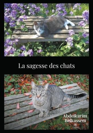 belkassem-abdelkarim-la-sagesse-des-chats_0