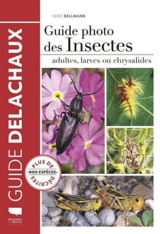 bellmann-heiko-3b-dronneau-christian-guide-photo-des-insectes-adultes-larves-ou-chrysalides_0
