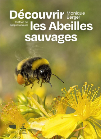 berger-monique-3b-gadoum-serge-decouvrir-les-abeilles-sauvages_0