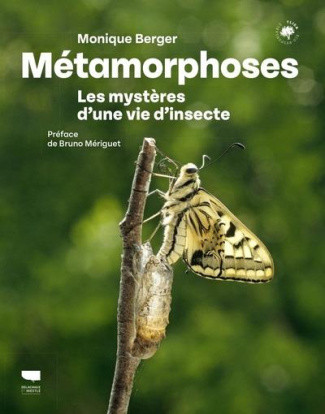 berger-monique-3b-meriguet-bruno-metamorphoses-les-mysteres-d-une-vie-d-insecte_0