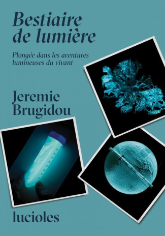 bestiaire-de-lumiere-vers-une-anthropologie-de-la-biolumin_0