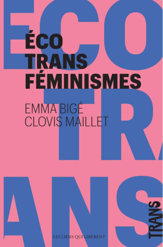 bige-emma-3b-maillet-clovis-la-poule-la-hyene-la-sorciere-et-nous-pour-des-ecologies-transfeministes_0