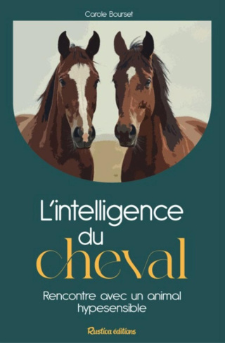 bourset-carole-le-cheval-rencontre-avec-un-animal-hypersensible_0