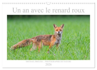 breuer-michael-un-an-avec-le-renard-roux-calendrier-mural-2026-din-a3-vertical-calvendo-calendrier-mensuel-anim_0