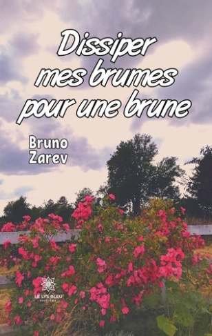 bruno-zarev-dissiper-mes-brumes-pour-une-brune_0