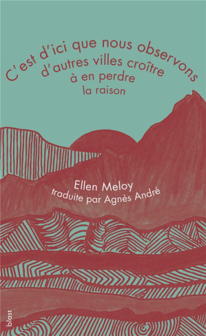 c-est-d-ici-que-nous-observons-d-autres-villes-croitre-a-en-perdre-la-raison_0