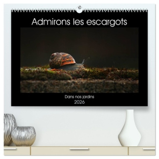 christina-ladan-admirons-escargots-calendrier-mural-2026-dans-nos-jardins_0