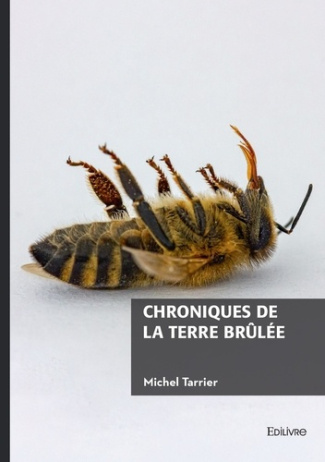 chroniques-de-la-terre-brulee_0