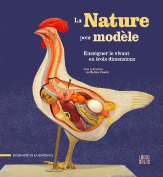 coadic-marine-3b-maillard-jean-luc-la-nature-pour-modele-enseigner-le-vivant-en-trois-dimensions_0