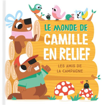 collectif-le-monde-de-camille-en-relief-les-amis-de-la-campagne_0