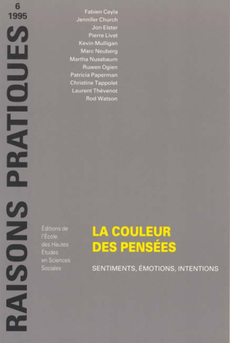 collectif-raisons-pratiques-n-6-1995-la-couleur-des-pensees-sentiments-emotions-intentions_0