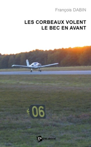 dabin-francois-les-corbeaux-volent-le-bec-en-avant_0