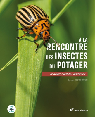 decarpentrie-corinne-a-la-rencontre-des-insectes-du-potager-et-autres-petites-bestioles_0