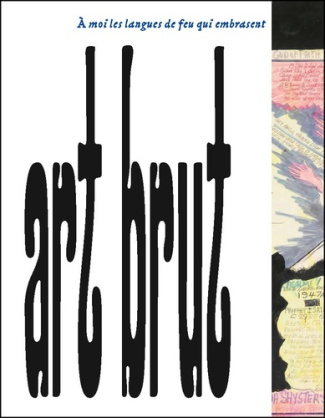 decharme-bruno-safarova-barbara-a-moi-les-langues-de-feu-qui-embrasent_0