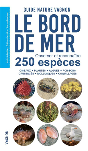 delliou-hassani-guide-nature-vagnon-le-bord-de-mer-observer-et-reconnaitre-250-especes_0