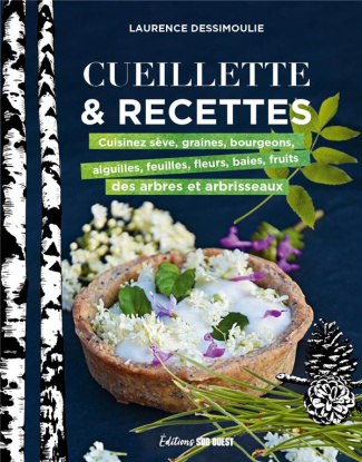 dessimoulie-laurence-cueillette-recettes-cuisinez-seve-graines-bourgeons-aiguilles-feuilles-fleurs-baies-fruits_0