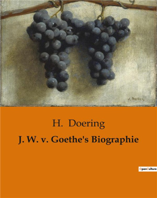 doering-h-j-w-v-goethe-s-biographie_0