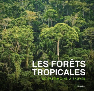 dures-simon-g-3b-sigala-marc-les-forets-tropicales-un-patrimoine-a-sauver_0