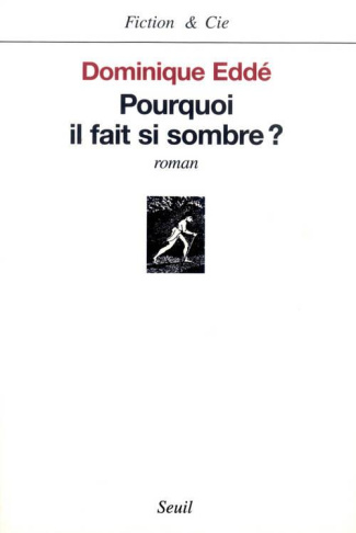 edde-dominique-pourquoi-il-fait-si-sombre_0