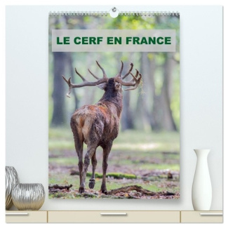 edouard-bernasconi-le-cerf-en-france-calendrier-mural-2026-din-a2-horizontal-calendrier-de-bureau-photographies-de_0