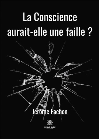 fachon-jerome-la-conscience-aurait-elle-une-faille_0