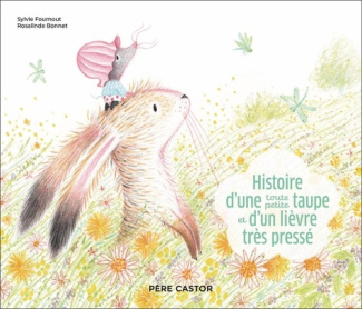fournout-sylvie-3b-bonnet-rosalinde-histoire-d-une-toute-petite-taupe-et-d-un-lievre-tres-presse_0
