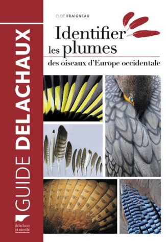 fraigneau-cloe-identifier-les-plumes-des-oiseaux-d-europe-occidentale_0