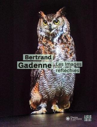 gadenne-bertrand-3b-calan-mael-de-3b-ifri-philippe-3b-les-images-reflechies-edition-bilingue-francais-anglais_0